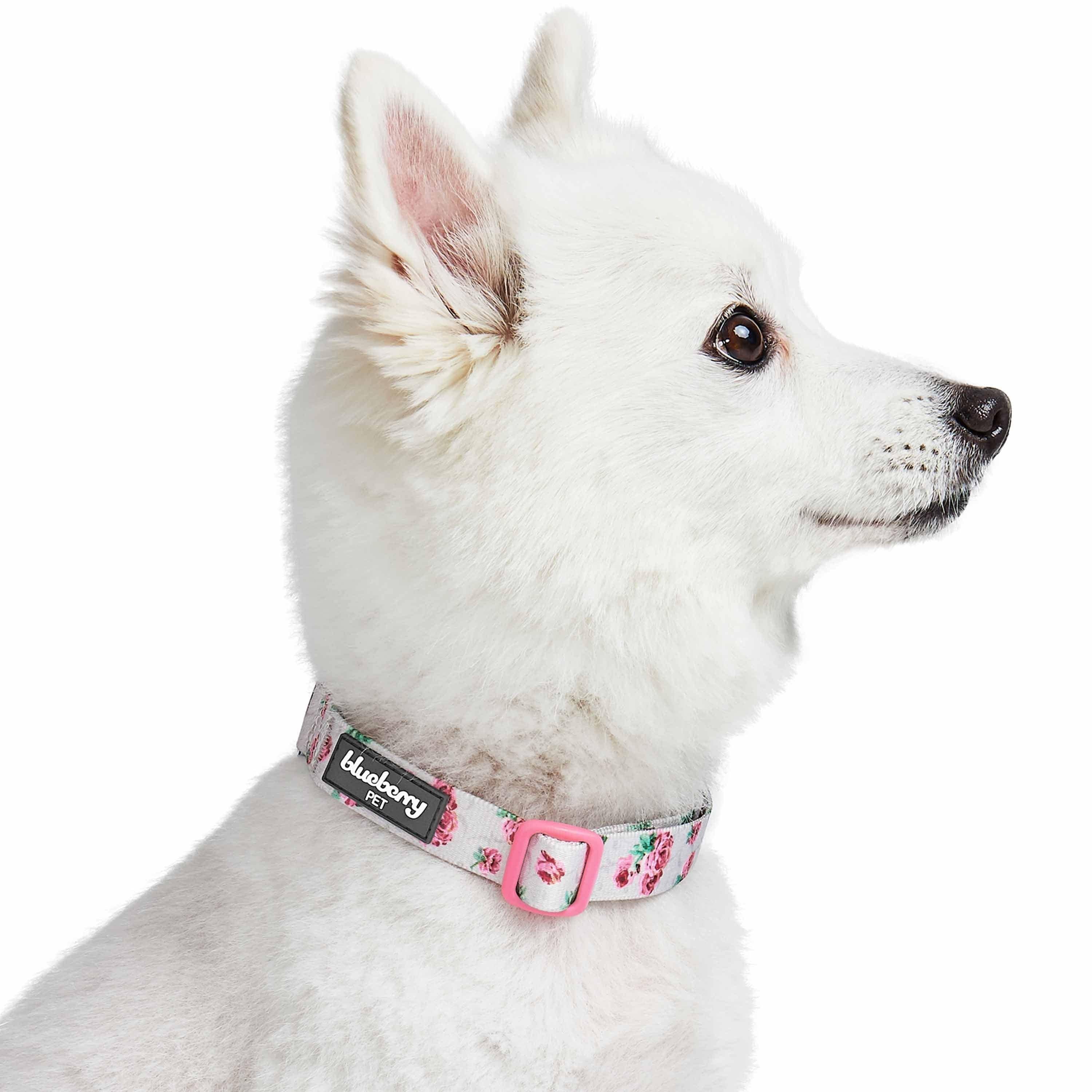 Blueberry Pet - Wholesale Pet Collar - Dog - Summer Floral Dog Collar in Pastel Colors for Girl Dogs23