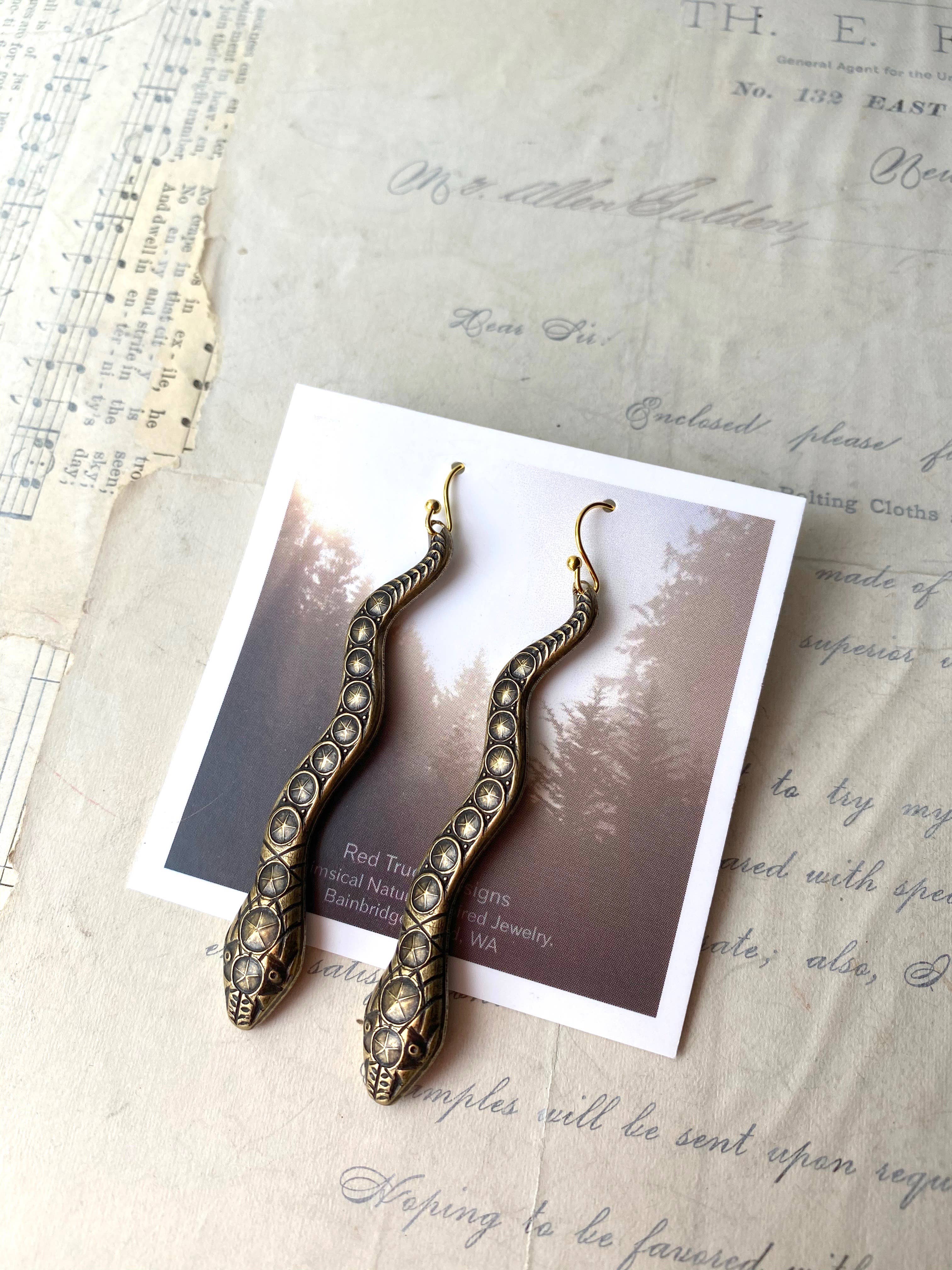 Red Truck Designs - Wholesale Dangle Earrings - Snake Charmer Earrings Reptile Serpent3