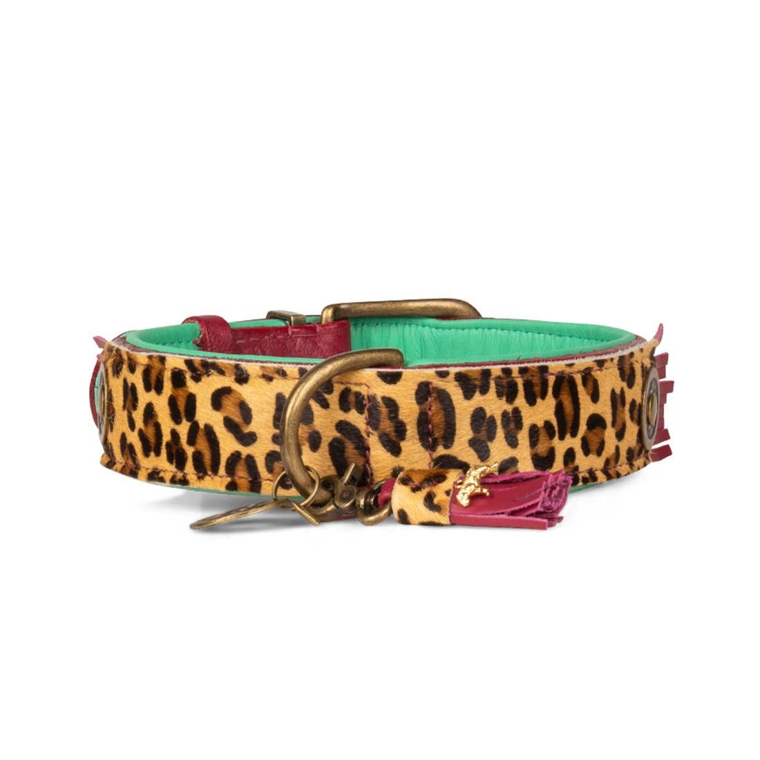 Dog with a Mission - Wholesale Pet Collar - Dog - Lou Lou collar4