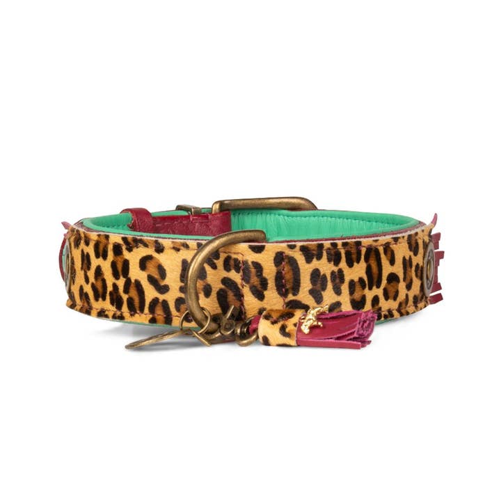 Dog with a Mission - Wholesale Pet Collar - Dog - Lou Lou collar4