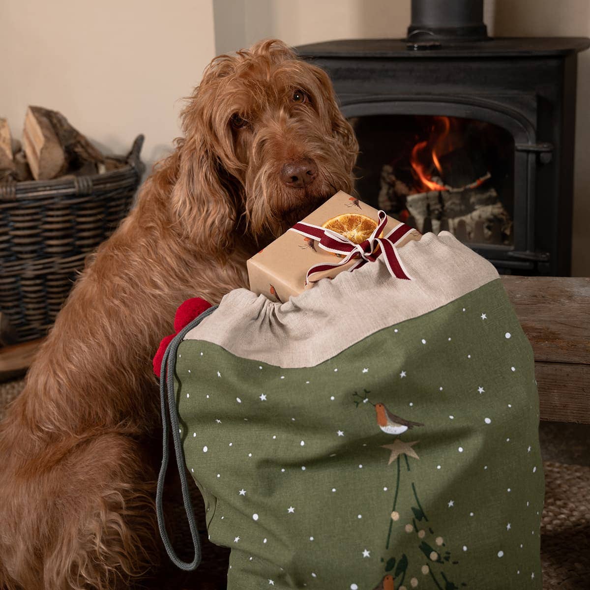 Sophie Allport - Wholesale Christmas Decoration - Robin Christmas Sack1