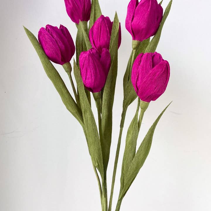 Papercraft Miracles LLC – Großhandel Künstliche Blumen – Tulpe Krepp-Papier-Blume