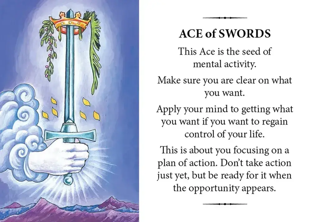 U.S. Games Systems Inc. - Wholesale Tarot Cards - The Gift of Tarot Pack of Three Envelopes1