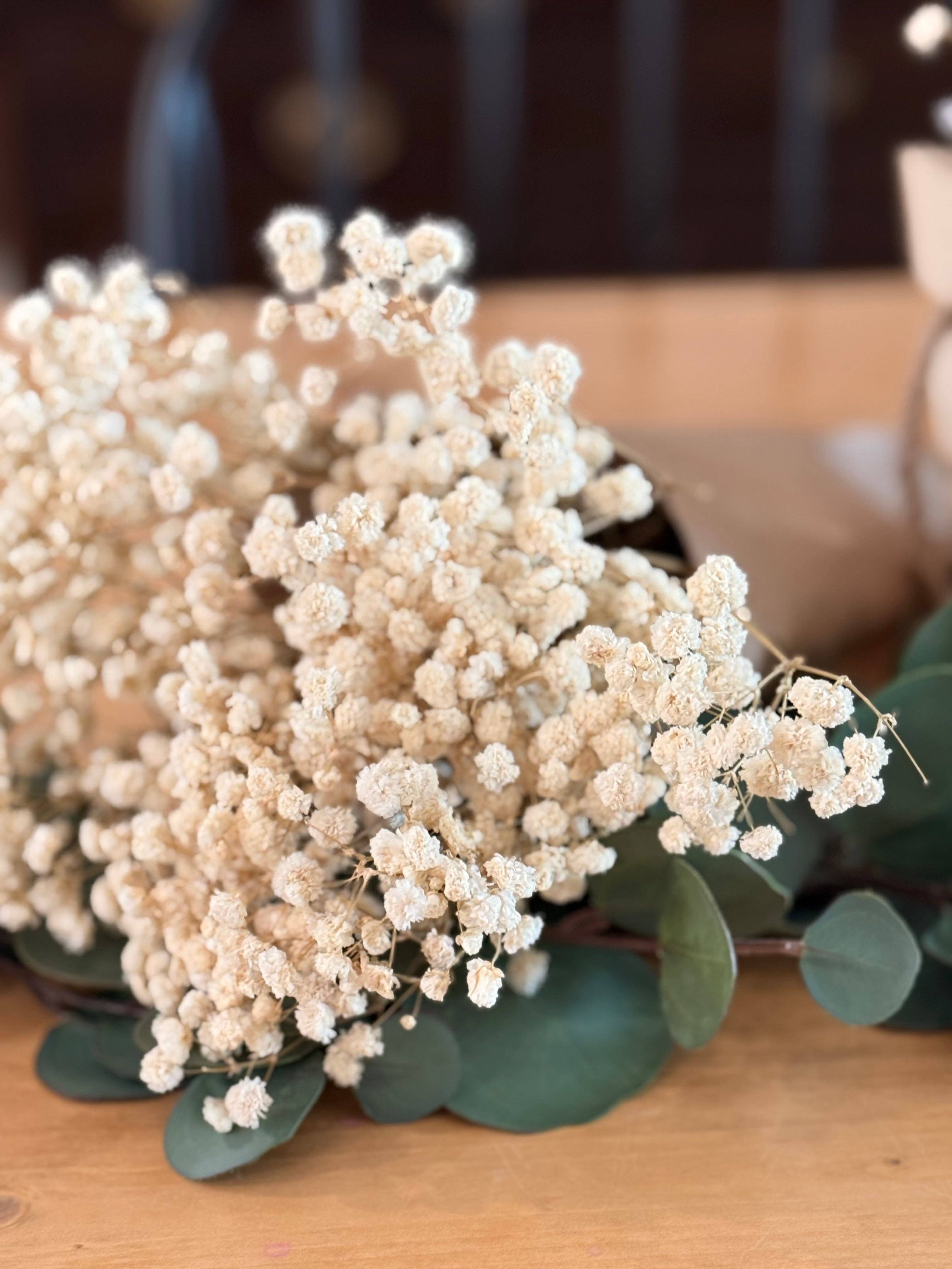 Eucalypt Co. - Wholesale Dried/pressed flowers - Preserved Babies Breath Bundles6