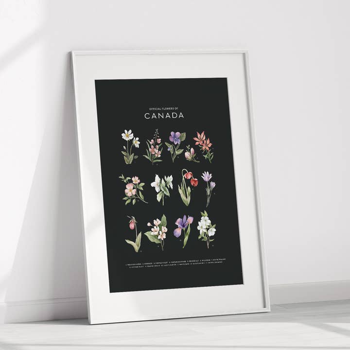 Natasha Vanderburg Co. - Wholesale Art Print - Official Flowers of Canada Art Print