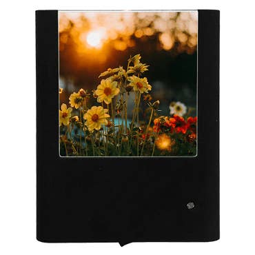 Fleurs délicates pour la vente par Nightlight Studio