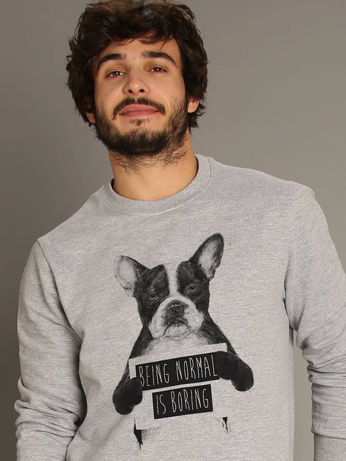 BEING NORMAL IS BORING MEN'S CHINA GREY SWEATSHIRT for wholesale by Wooop