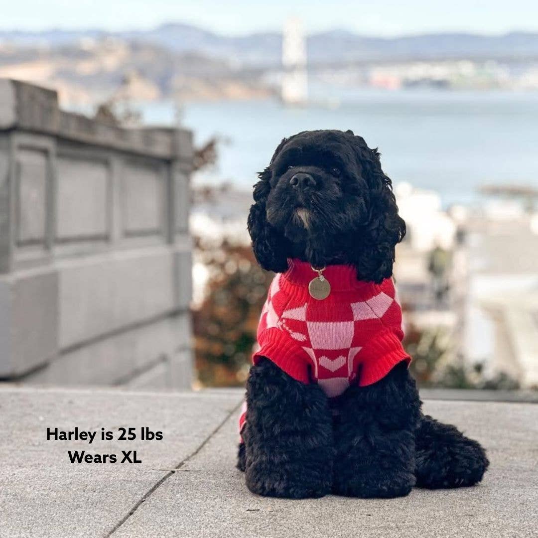 Sunbean - Wholesale Pet Sweater - Dog - Roll Neck Dog Knitted Love Sweater8