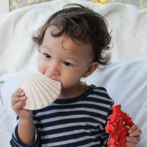 WHITE TEETHER SHELL FOR BABIES for wholesale on Faire3