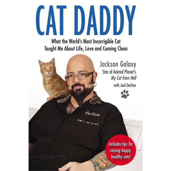 Cat Daddy: What the World's Most Incorrigible Cat Taught Me for wholesale by Microcosm Publishing & Distribution