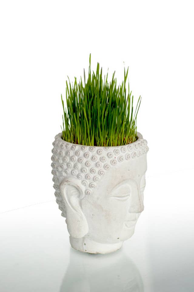 Vagabond Vintage - Wholesale Plant Pot - Cement Buddha Head Planter2