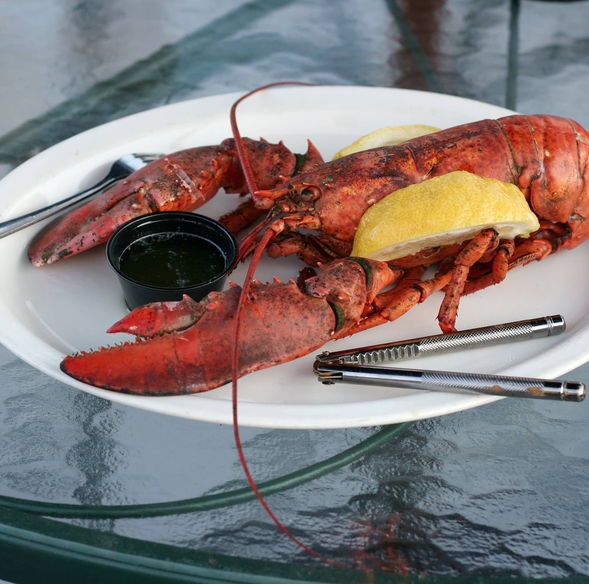 Fox Run Brands - Wholesale Kitchen Tool/Gadget - Nantucket Shell Cracker and Pick, Set of 54