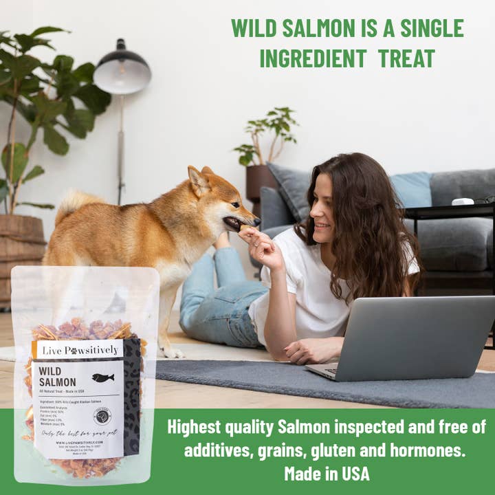 Live Pawsitive - Wholesale Pet Treats - Dog - Wild Salmon , Dried treat for Dogs 3.5oz2