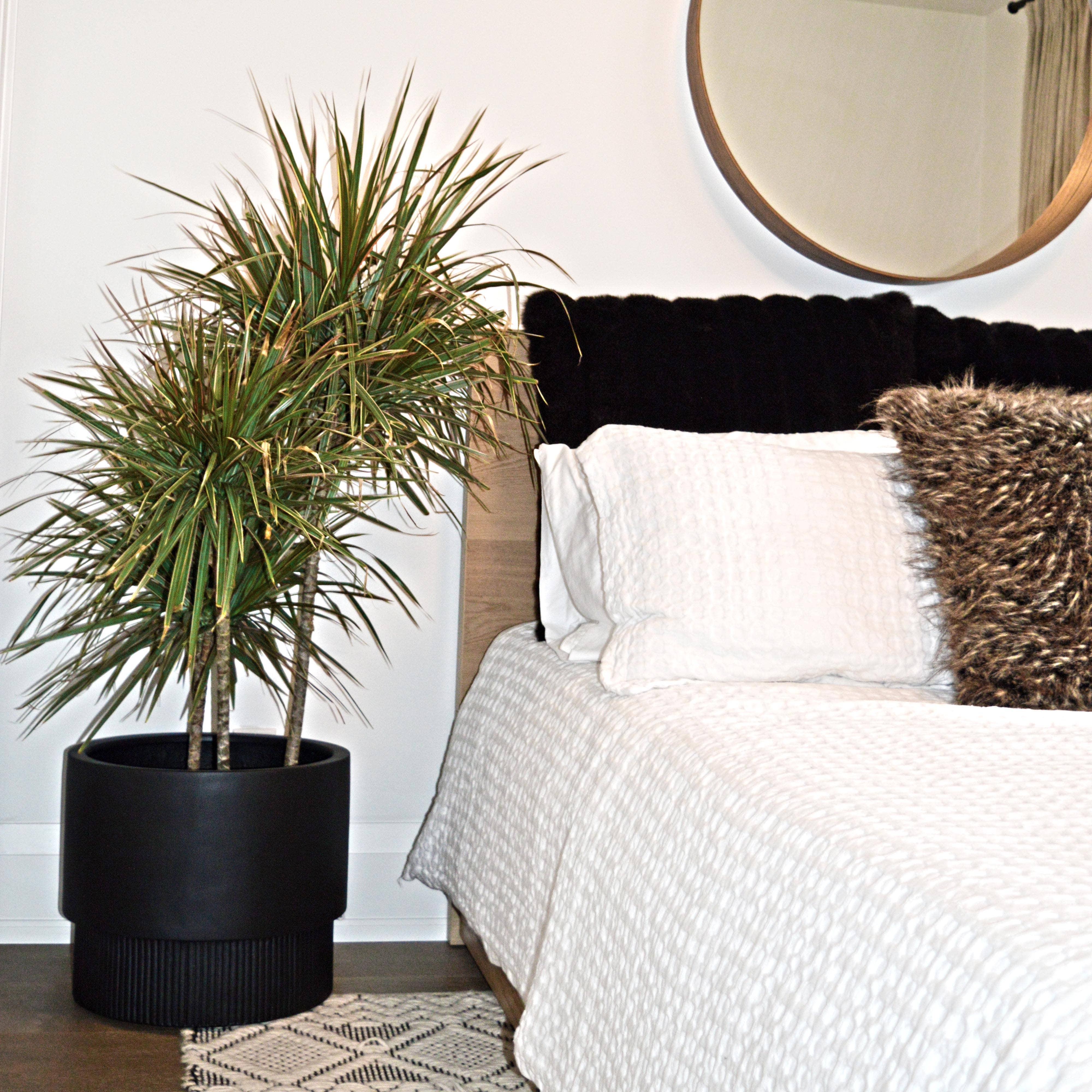 Common House Studio - Wholesale Plant Pot - FLUTED BASE PEDESTAL POT | PLANTER3