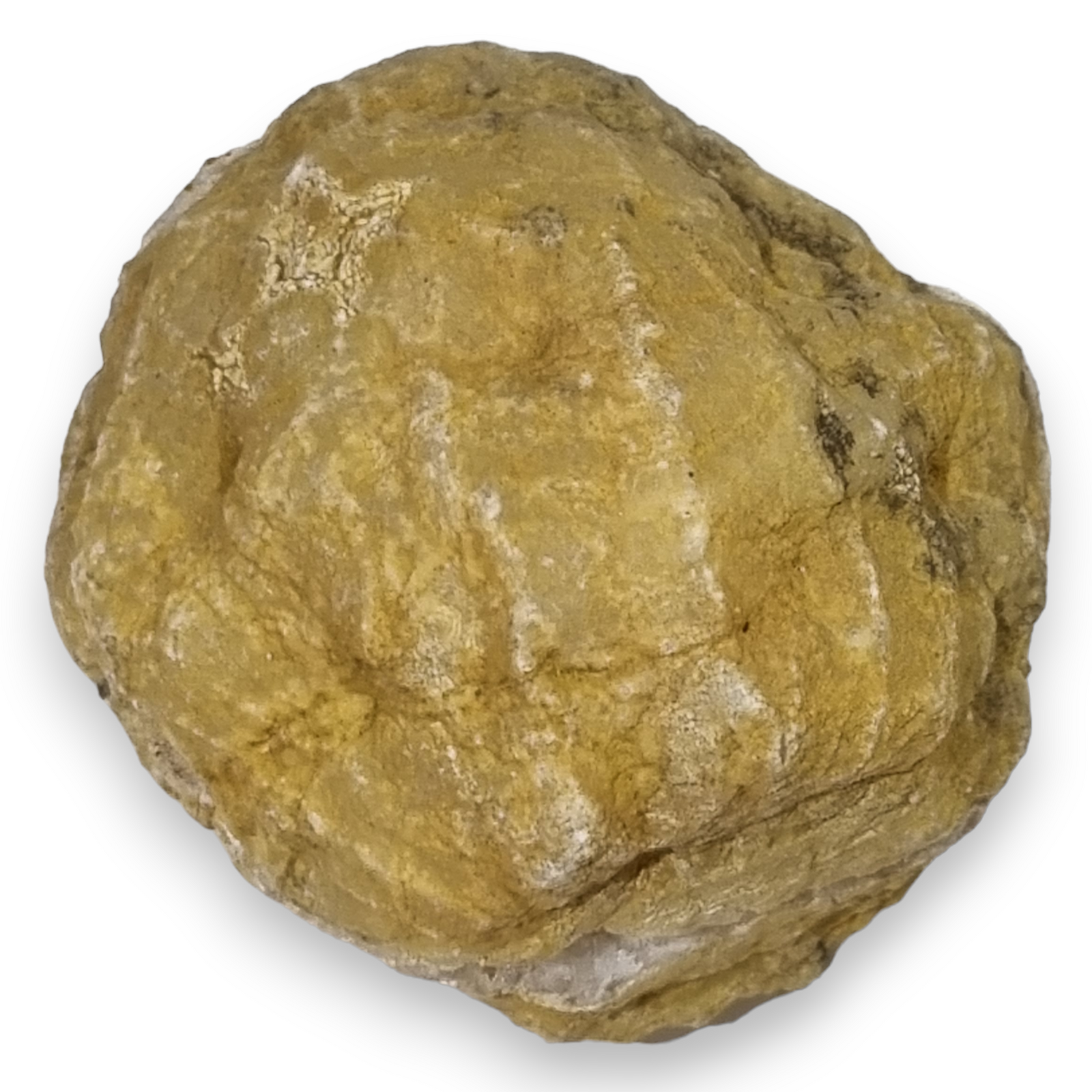 FW Wholesale - Vente Pierre et cristal de spiritualité - Géode de quartz clair entière [coupée en deux]4