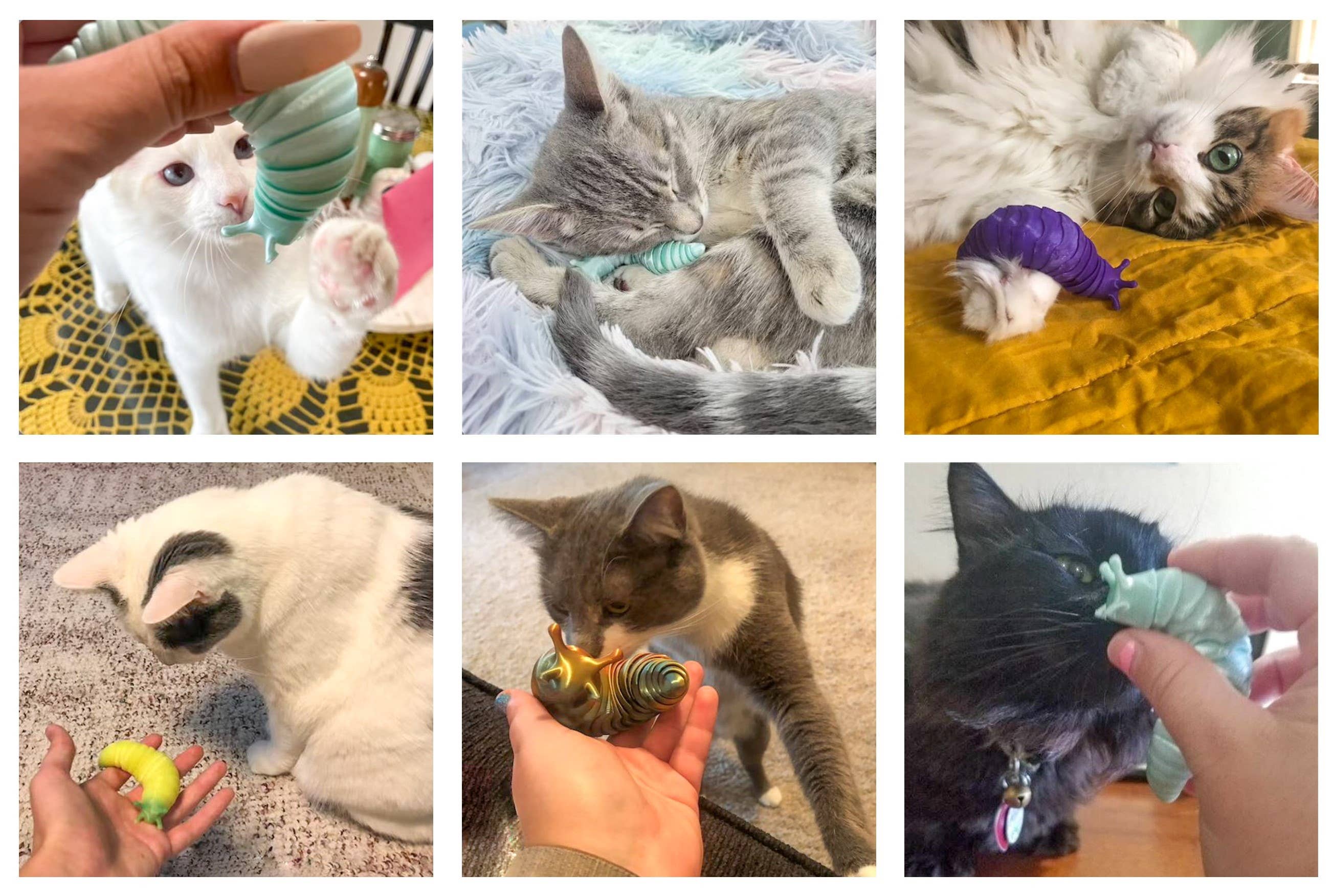 Clever Contraptions - Wholesale Fidget Toy - Kids - Fidget Slug Articulating Stim Toy9