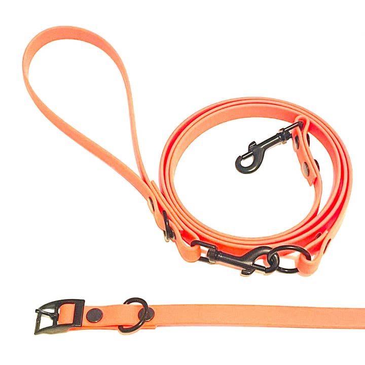 Collection Neon | Ensemble collier et laisse | Thin Neon Orange pour la vente par Trigs + Teddy