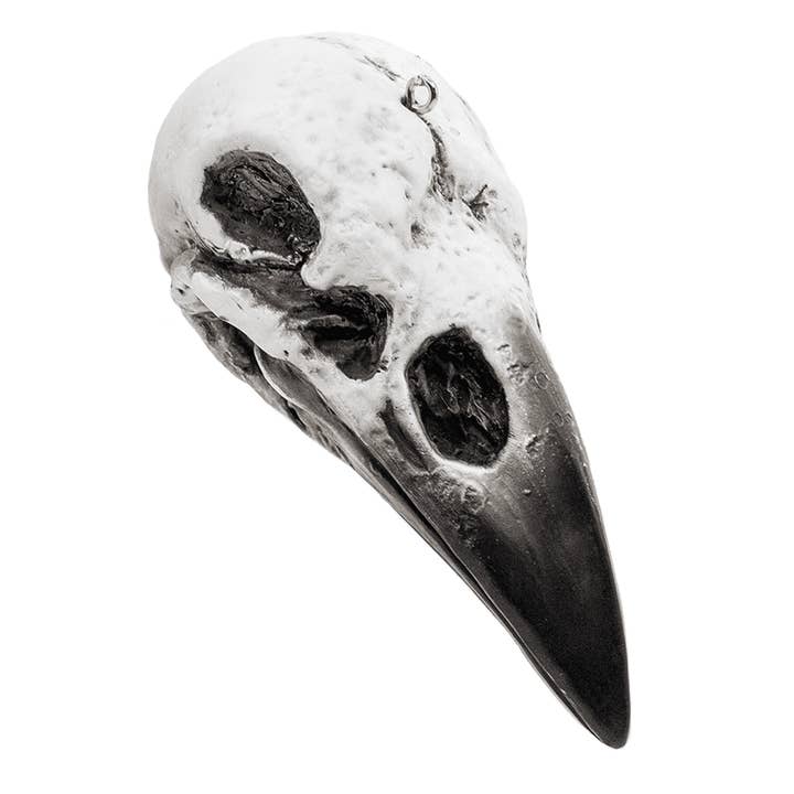 Crâne Corbeau pour la vente par Horrornaments