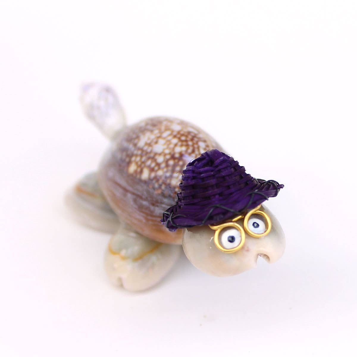 California Seashell Company - Wholesale Decorative Tabletop Object - Souvenir Shell Turtles - 4 Assorted Color Hats4