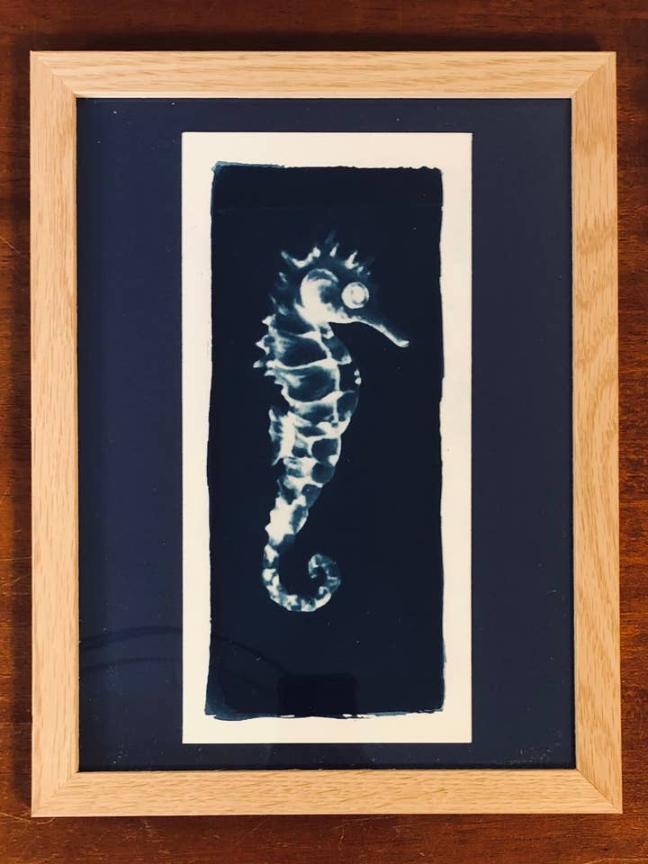 Cianotipo del Misisipi para venta al por mayor de Lilibellule