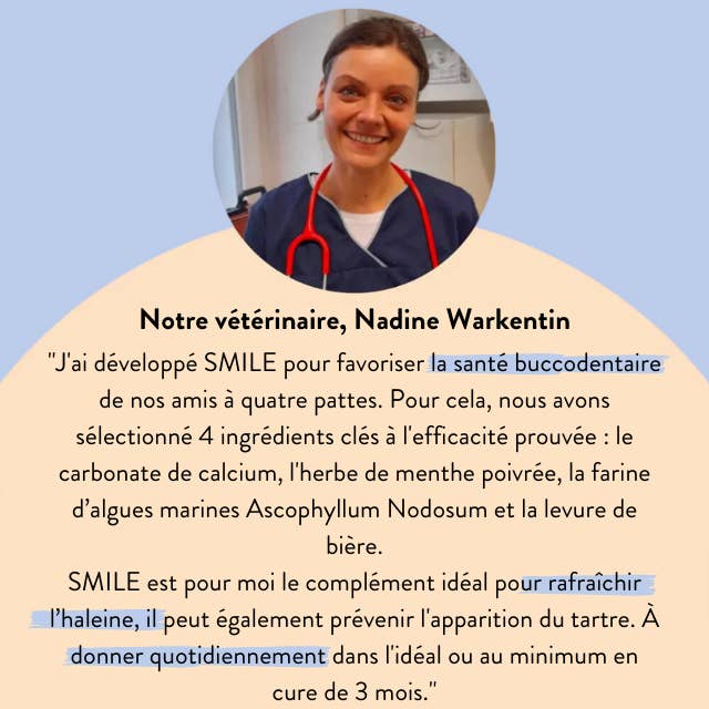 Hello Jack - Wholesale Pet Supplement - Dog - Smile - Supplements for fresh breath and strong teeth6