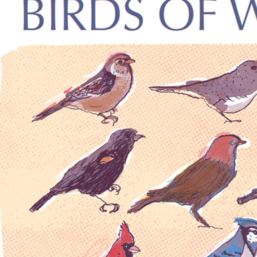 The Culture Curious - Wholesale Postcard - Birds of Washington DC postcard3