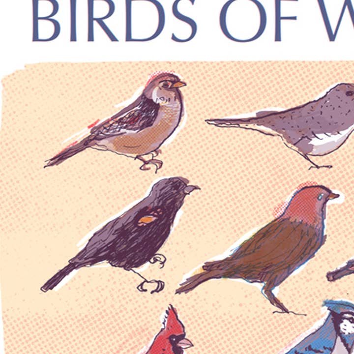 The Culture Curious - Wholesale Postcard - Birds of Washington DC postcard3