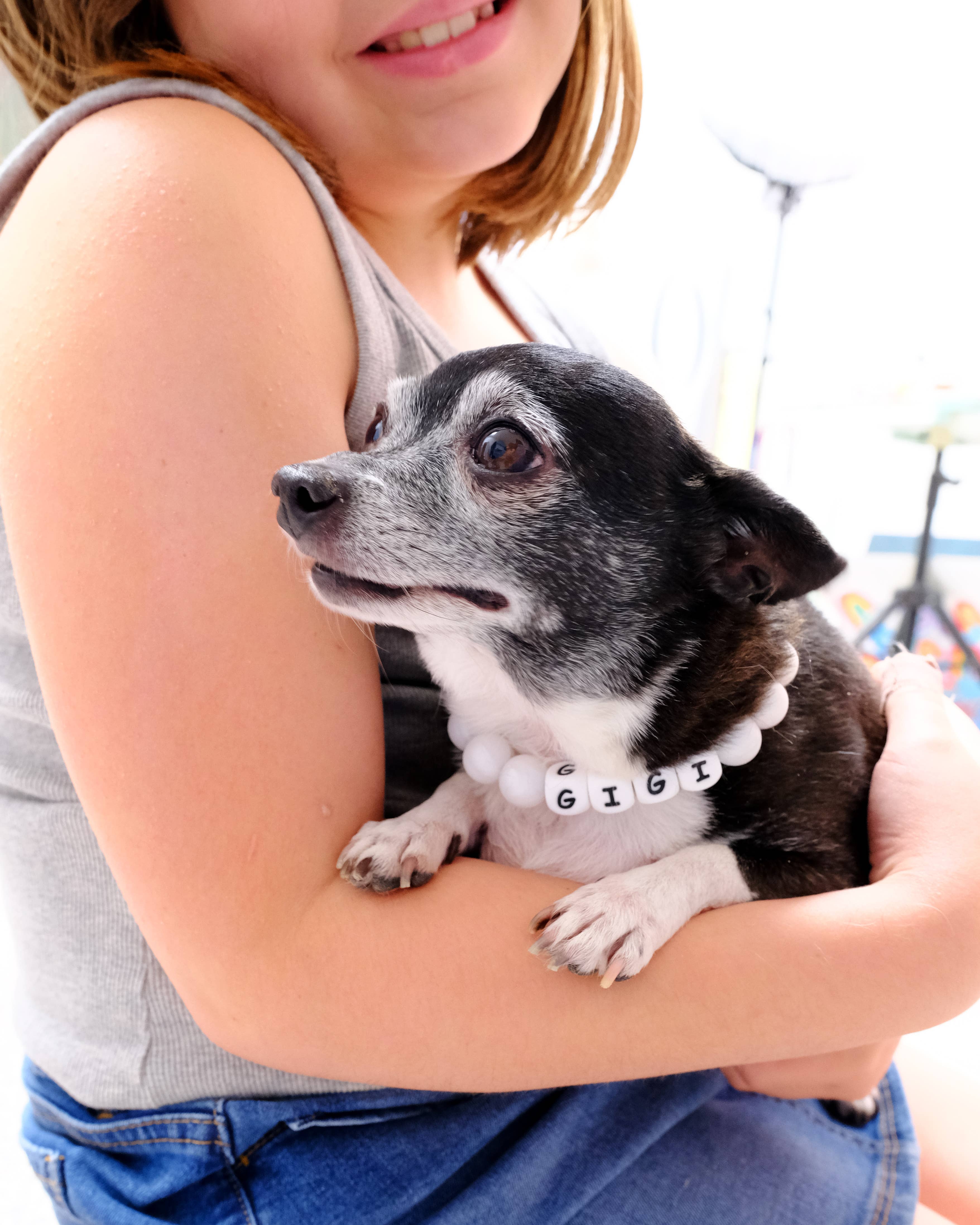 Mimi Green - Wholesale Pet Collar - Dog - Pearl Dog Collar | Classic Pearl Necklace Collar3