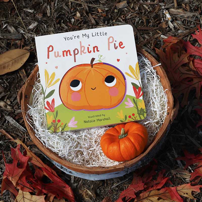 Simon & Schuster - Wholesale Baby & Toddler Book (0-2) - You're My Little Pumpkin Pie by2