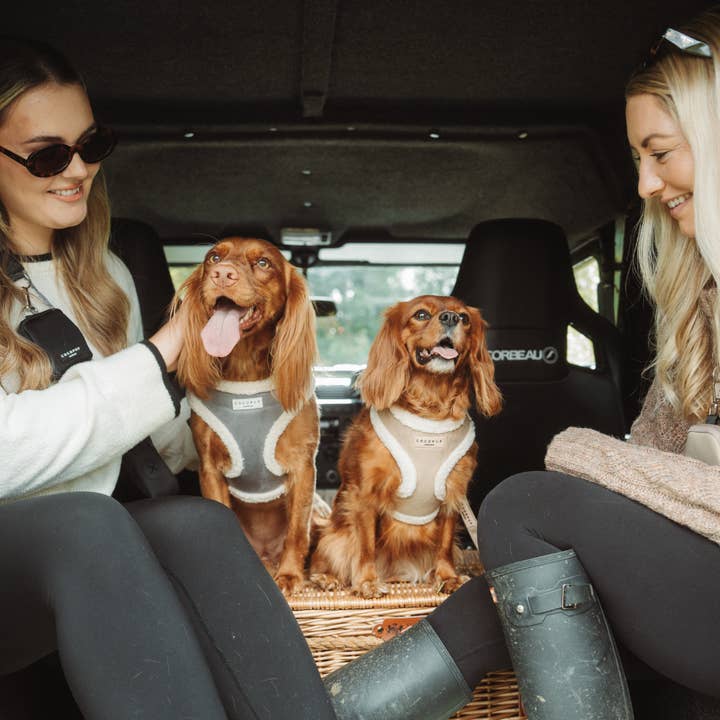 Cocopup London - Vendita all'ingrosso Pettorina - Cani - Pettorina da collo regolabile Nude Aviator14