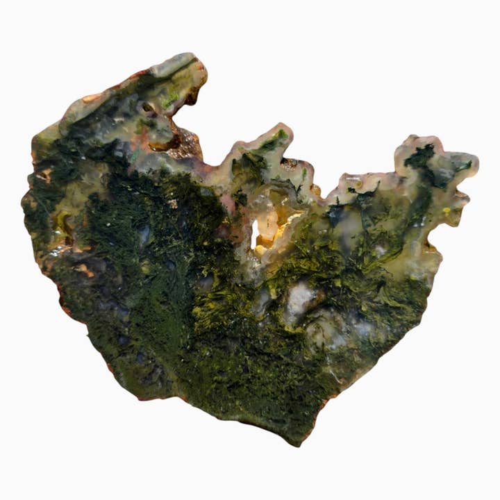 Maury Mountain Moss Agate Slab – Backlit Green Moss with Drusy Quartz for wholesale by Lapidary Central
