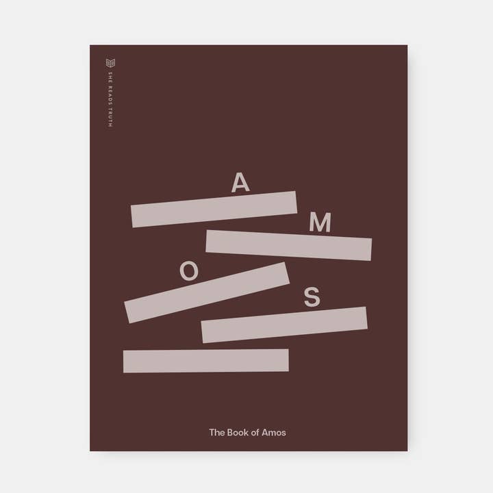 She Reads Truth – wholesale Religion – Amos Women's Reading Guide0