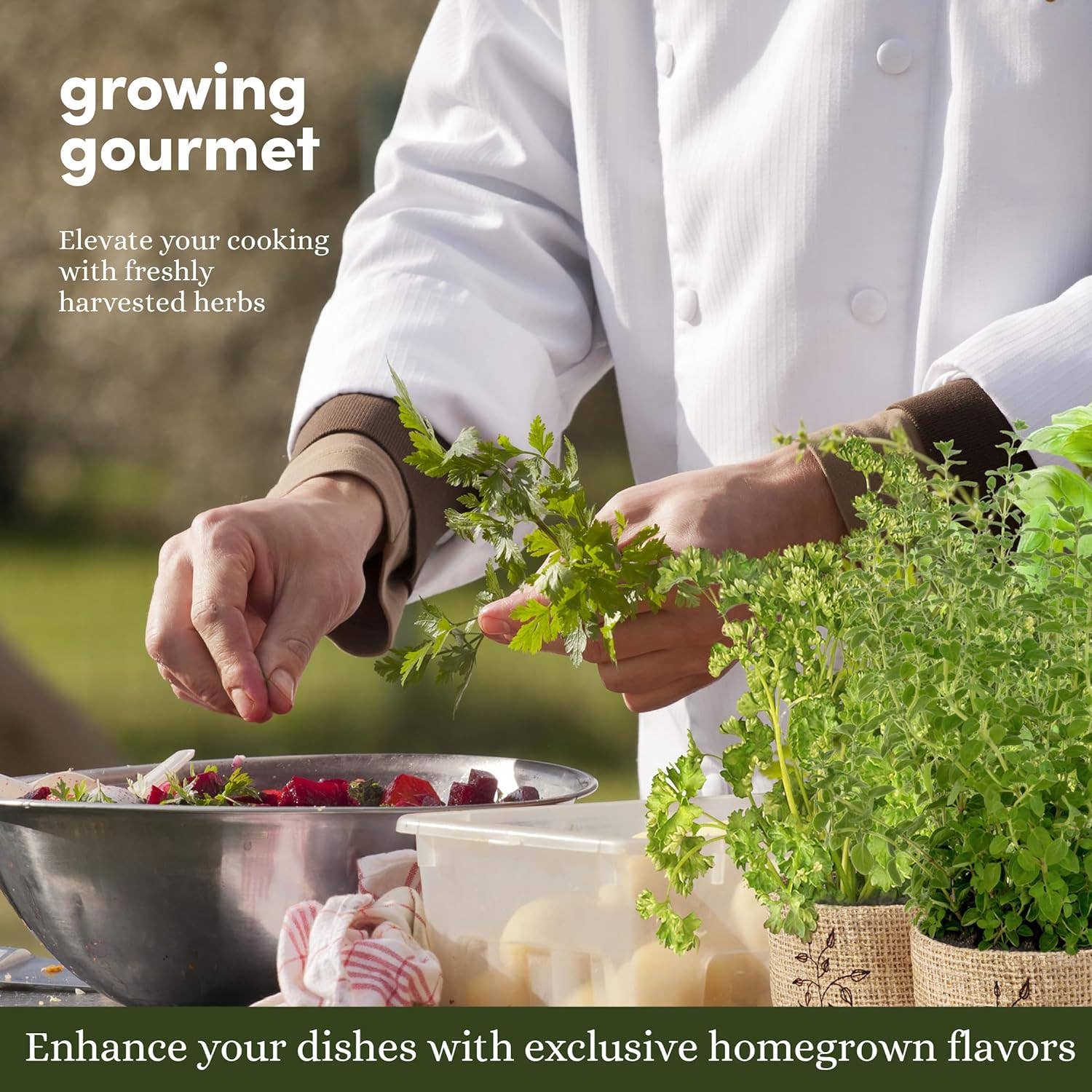 Planter's Choice - Wholesale Plant Seeds - 9 Herb Window Garden6