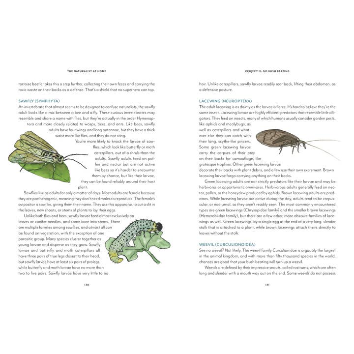 Mountaineers Books - Wholesale Nature & Outdoors Book - The Naturalist at Home8