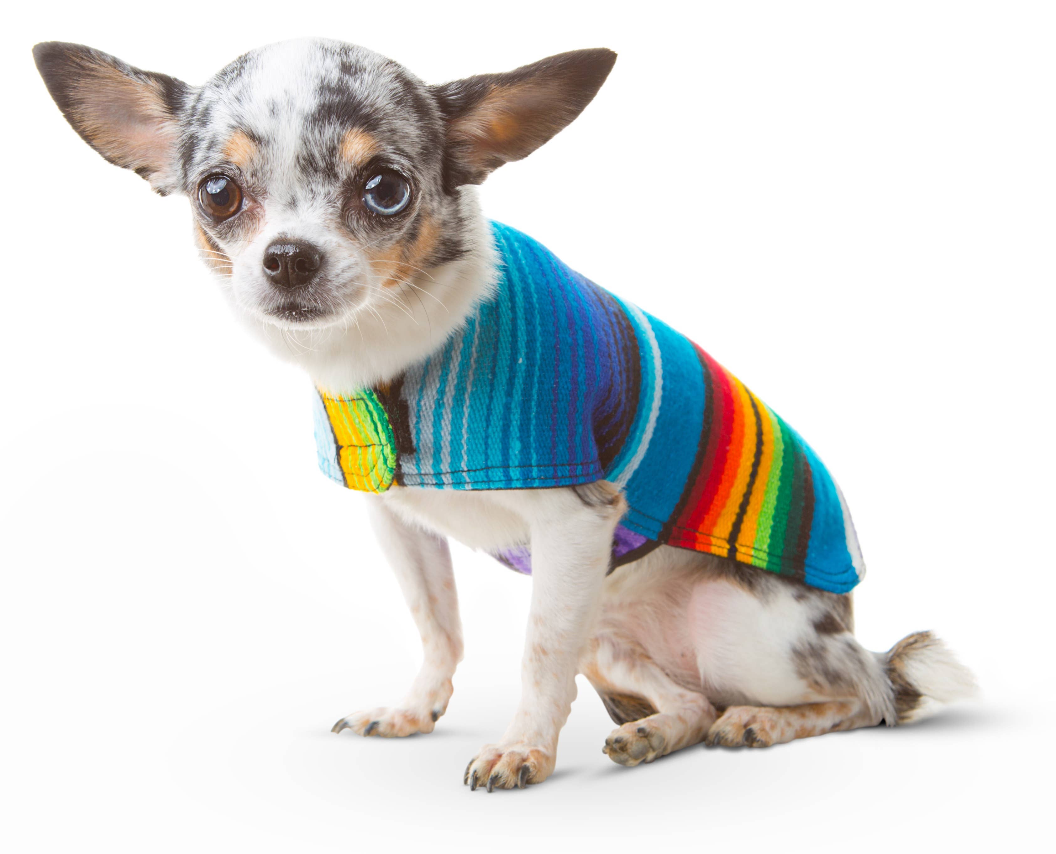 Baja Ponchos - Wholesale Pet Poncho - Dog - Dog Poncho From Mexican Serape Blanket - Blue1