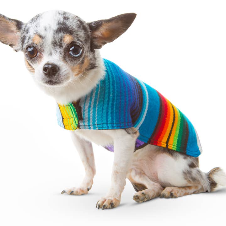 Baja Ponchos - Wholesale Pet Poncho - Dog - Dog Poncho From Mexican Serape Blanket - Blue1