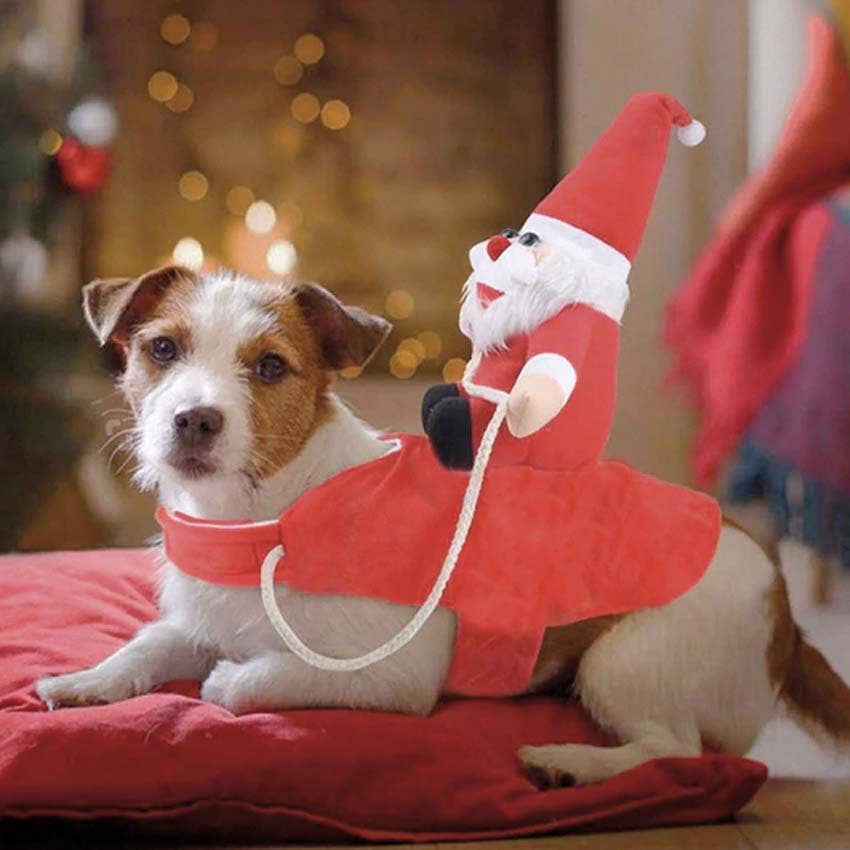 Camon & Croci Pet Group S.p.A. - Wholesale Pet Costume - Cat/Dog - Dog harness - Christmas Santa Riding - Crosses1