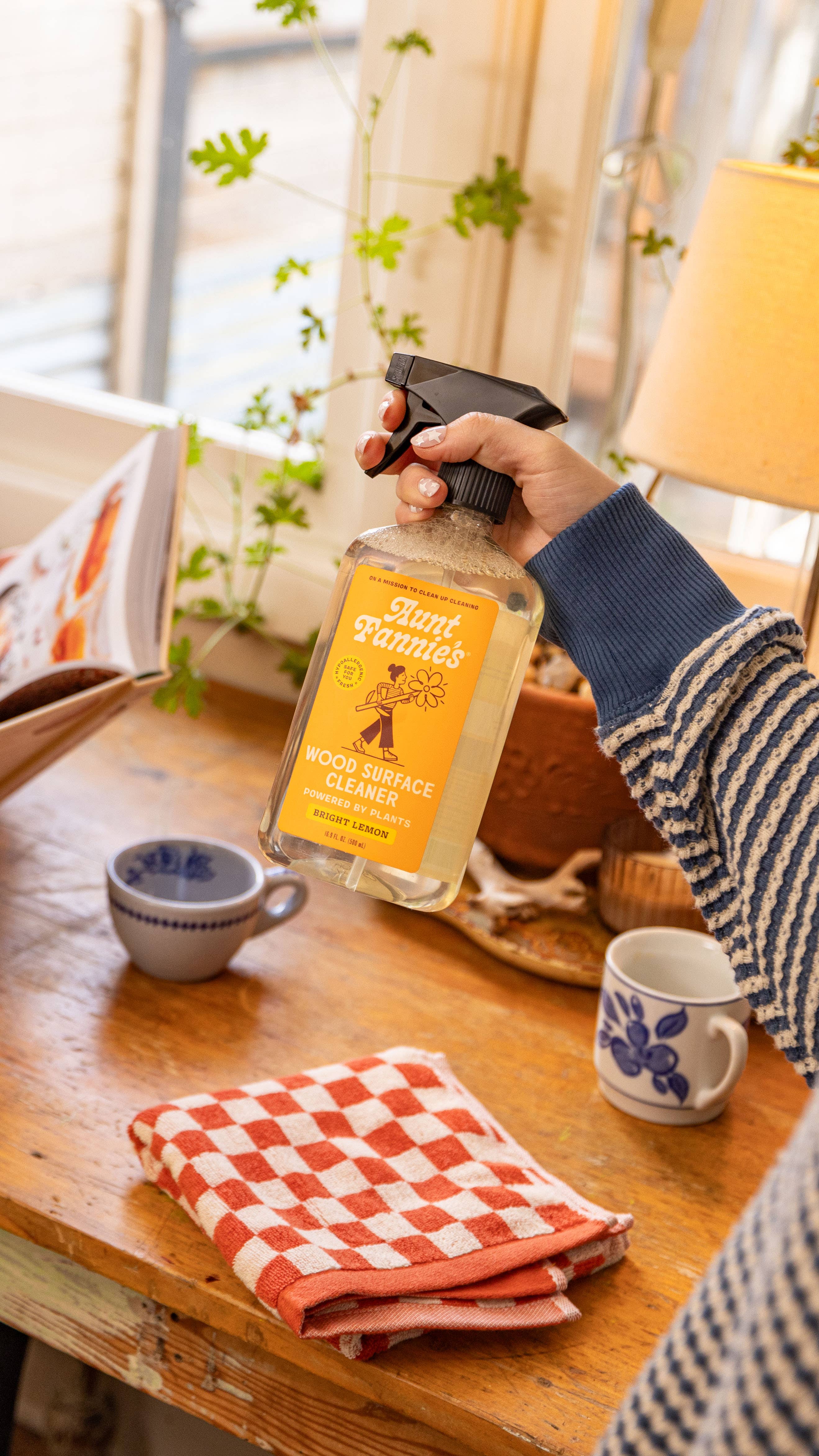 Aunt Fannie's - Vente Nettoyant multi-surface - Nettoyant de surface en bois2