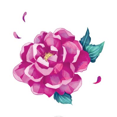 Pioenroos voor wholesale door Sioou