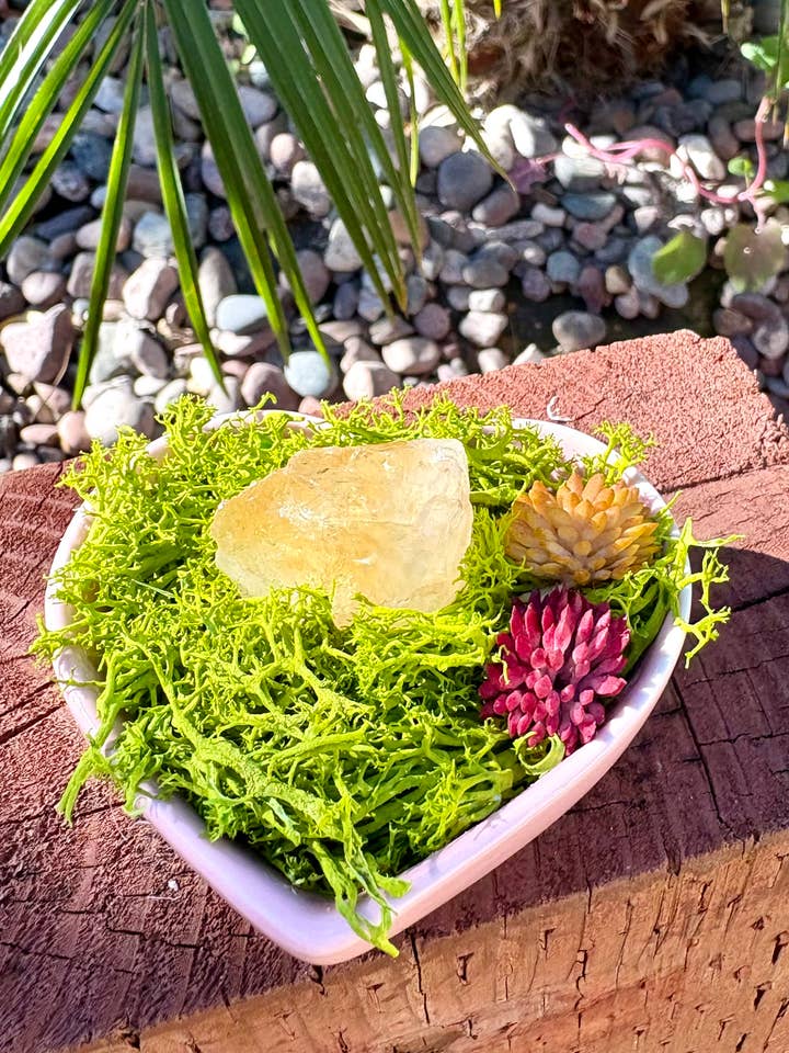 Mini Crystal Garden in Heart Dish for wholesale by Sea of Bliss Shop