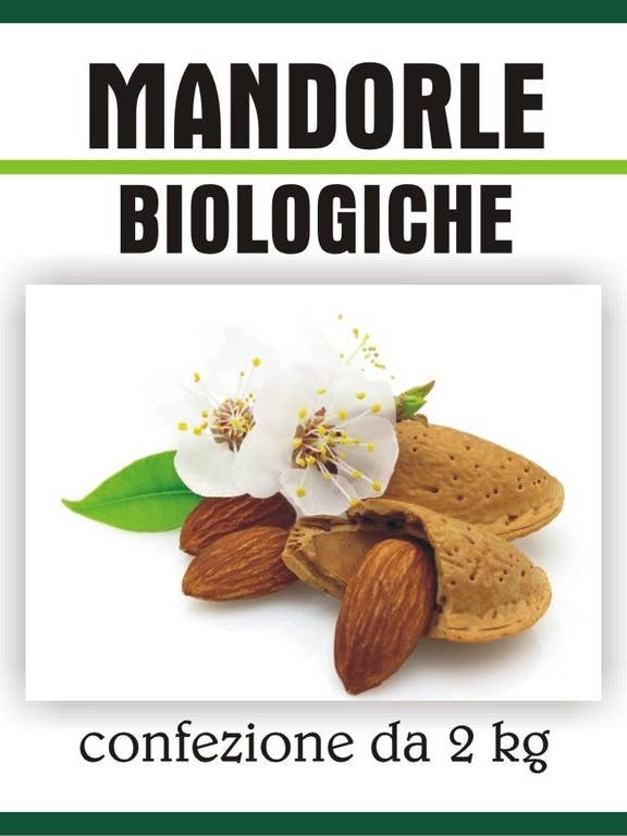 Almendras orgánicas 1 kg para venta al por mayor de agricolataloe