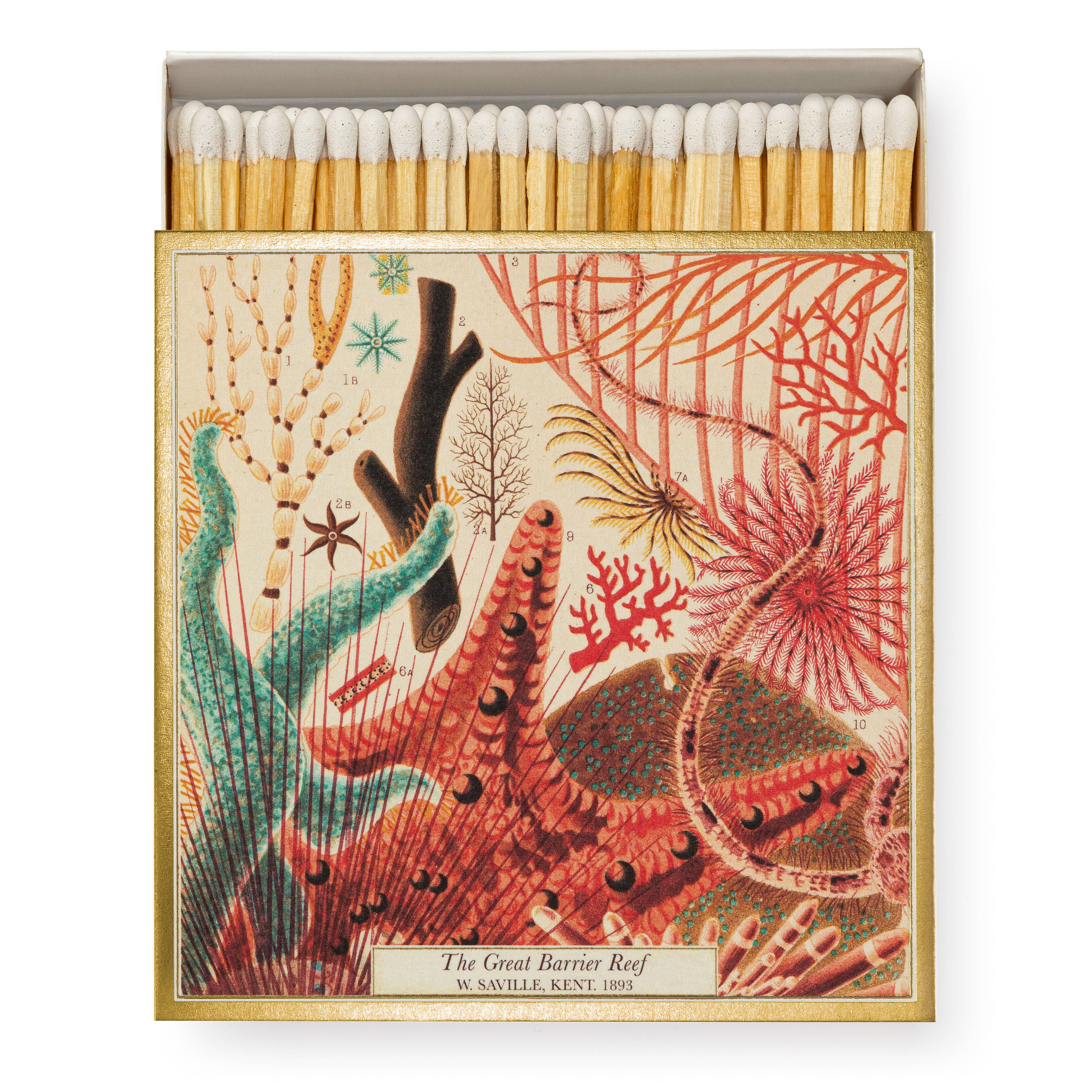 Archivist Gallery | UK - Wholesale Matches - Great Barrier Reef | Square Matchboxes0