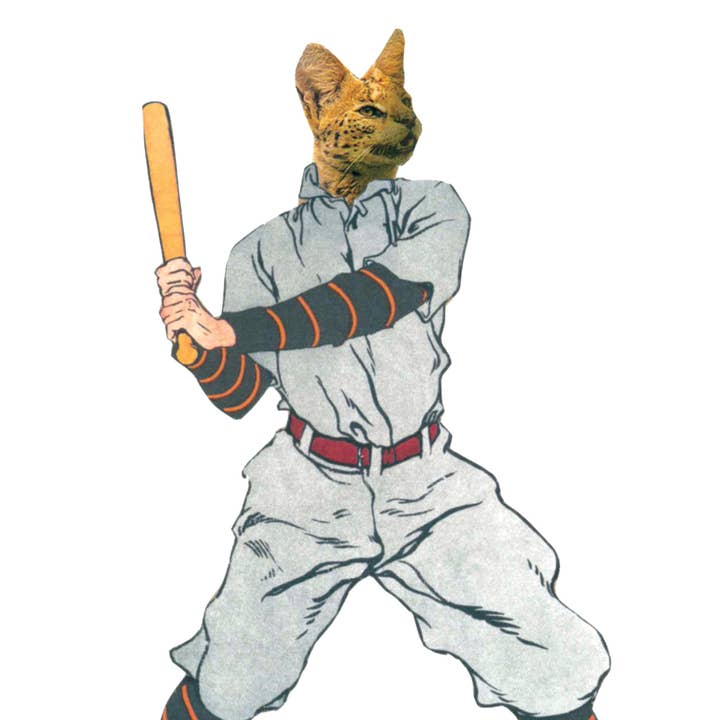 Baseball Cat for wholesale by Rare Bird