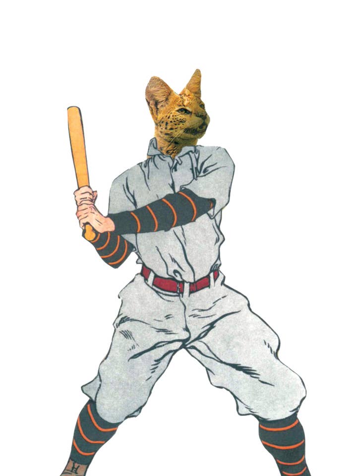 Baseball Cat for wholesale by Rare Bird
