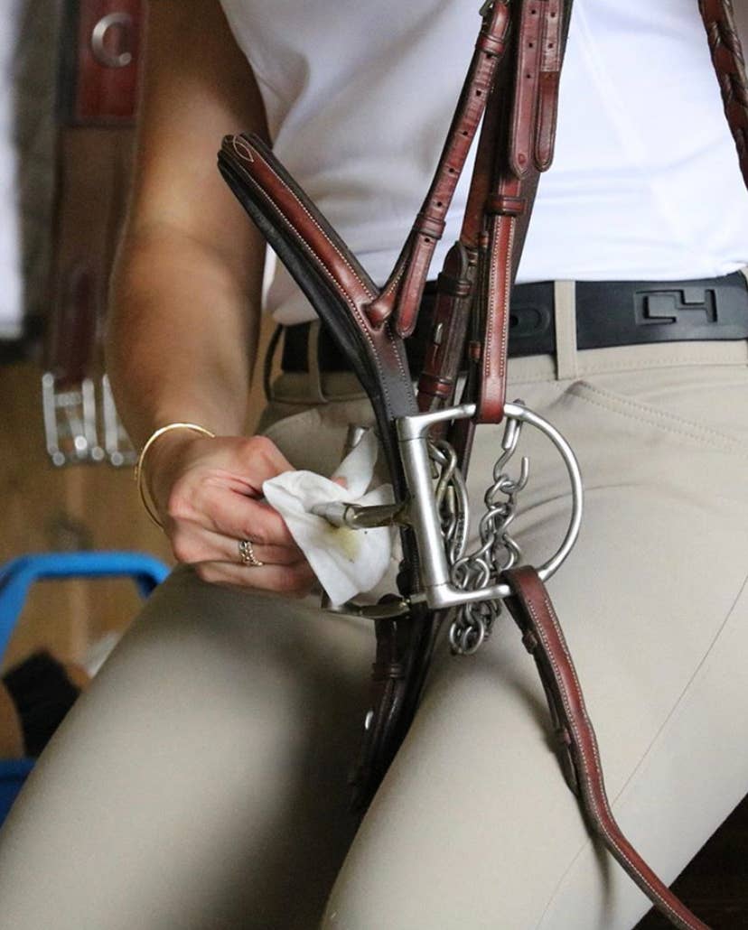 The Infused Equestrian – Condicionador de cavalo por atacado – puro. Um pouco de limpeza6