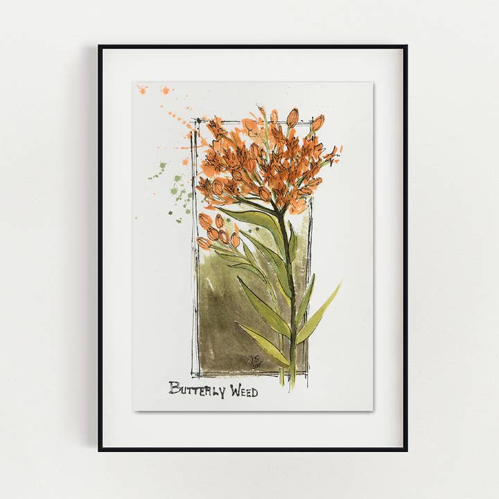 Butterfly Weed for wholesale by Joshua D. Smith Artist