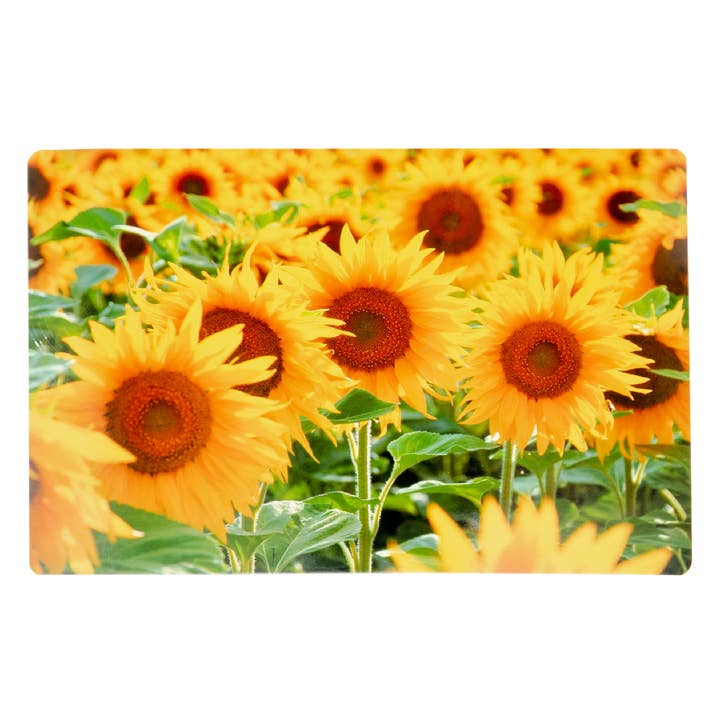 Floral Placemat Placemat Girassol Field para venda a revendedores na Faire0