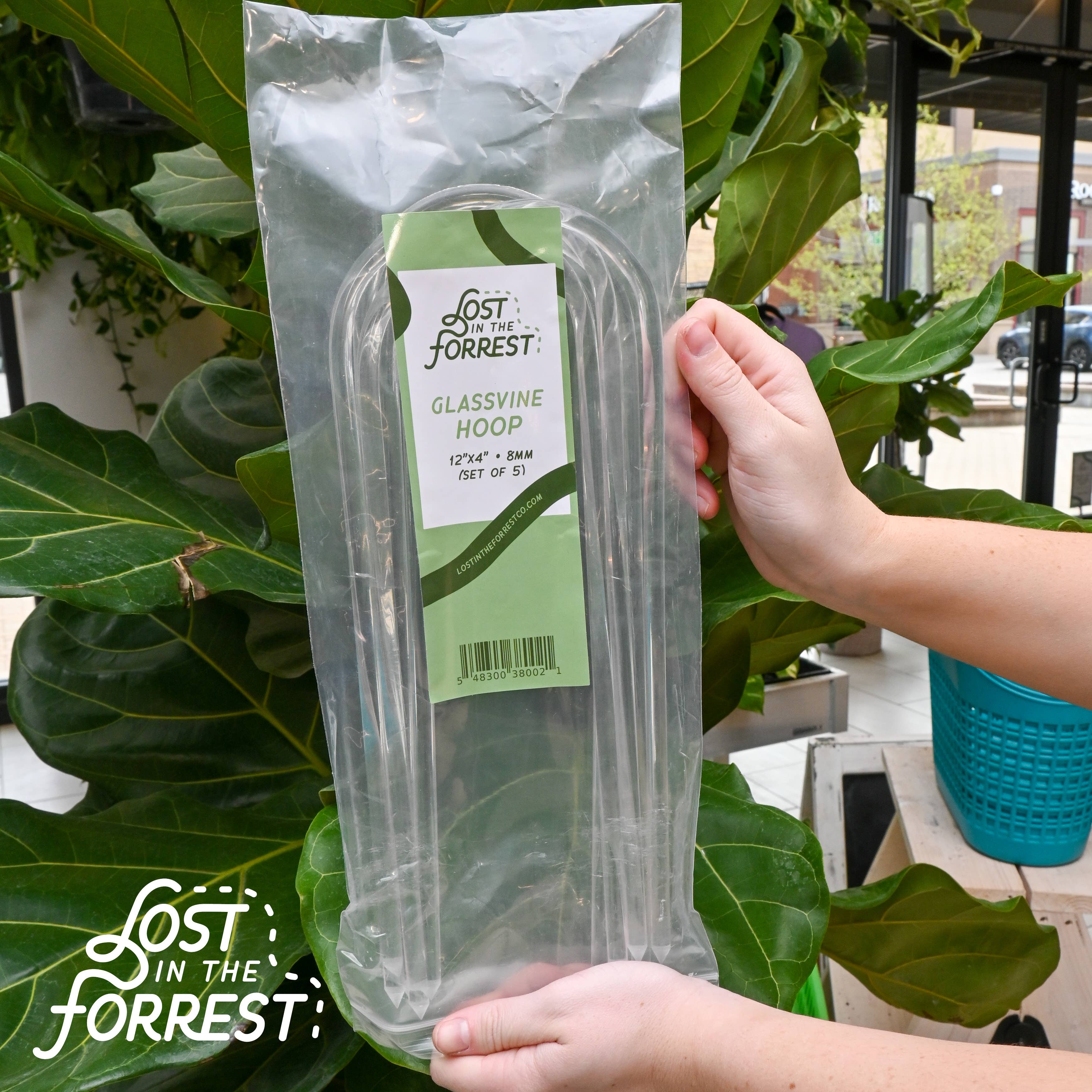 Lost in the Forrest - Wholesale Garden Tool - Glassvine Plant Support Hoop5