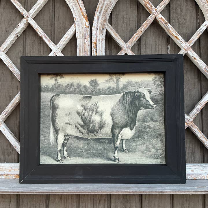 Indrammet lærredstryk af Shorthorn-tyr for engroshandel hos LAND OF COTTON