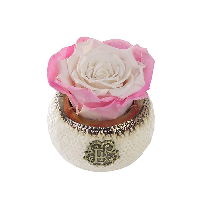 Eternal Roses® - Wholesale Artificial Flowers - Mini Soho Classic Eternal Luxury Rose28